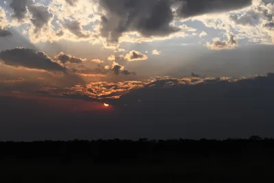 DSC_3706 (Large).JPG